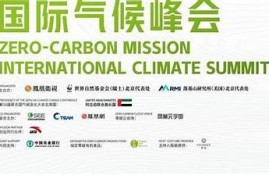 海角官网: 全球气候峰会盛况回顾